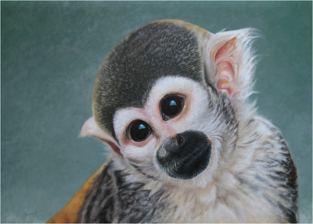 Squirrel monkey - my love my soul